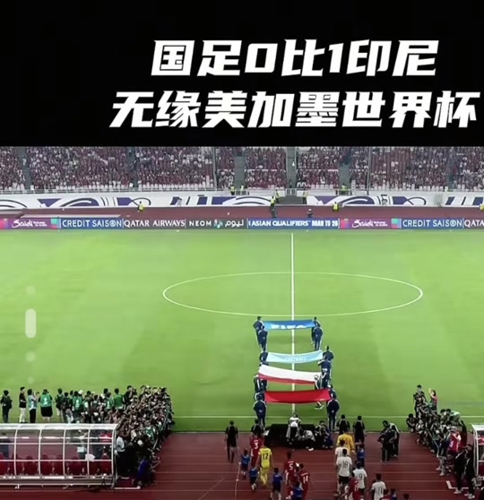 欧预赛夺冠狂欢派对，球迷热情助威支持的简单介绍