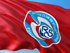 开云体育中国-帕尔梅拉斯赛前体能检测通过，争冠筹备顺利