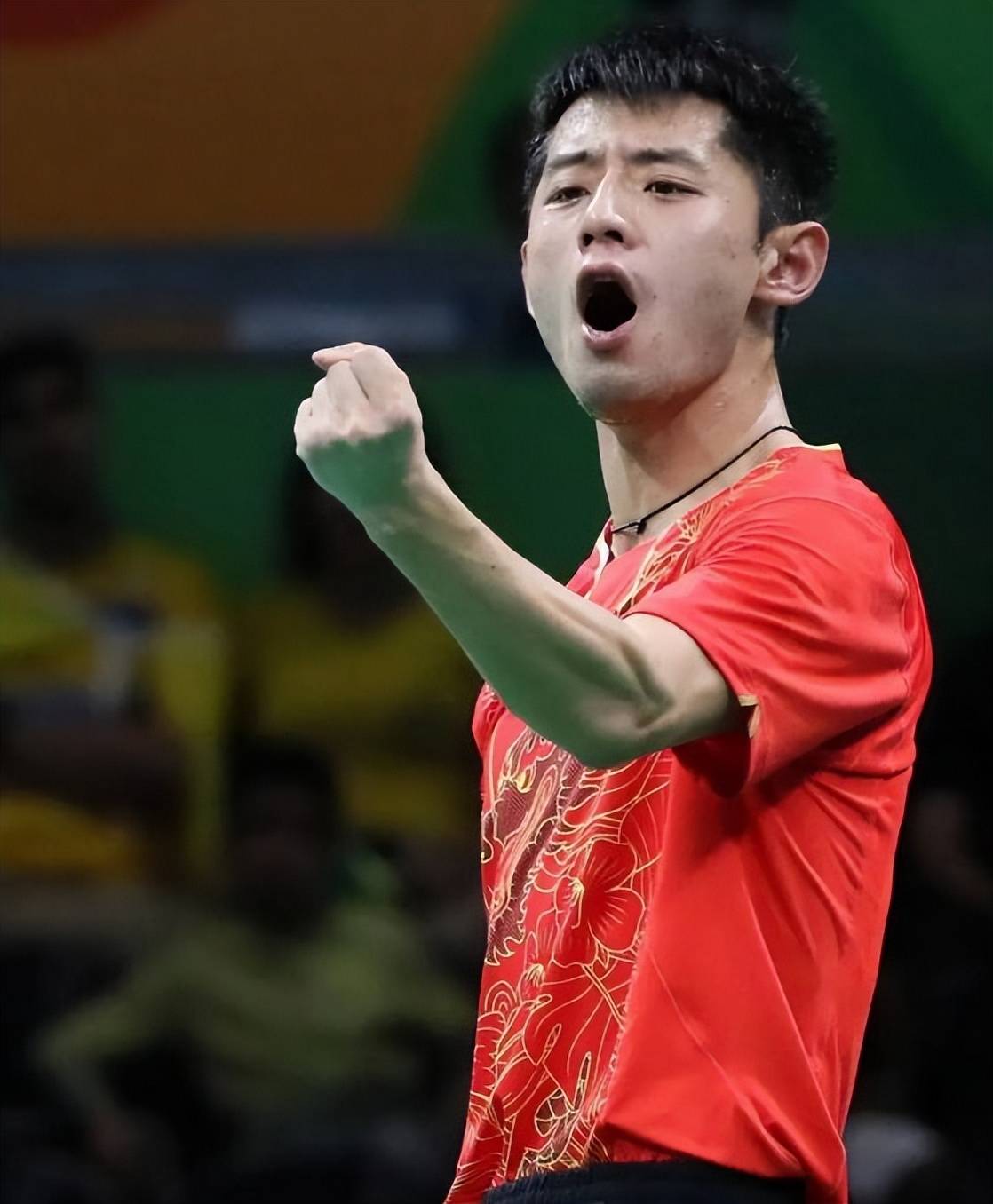 张继科的宣布退役让粉丝不可思议的简单介绍