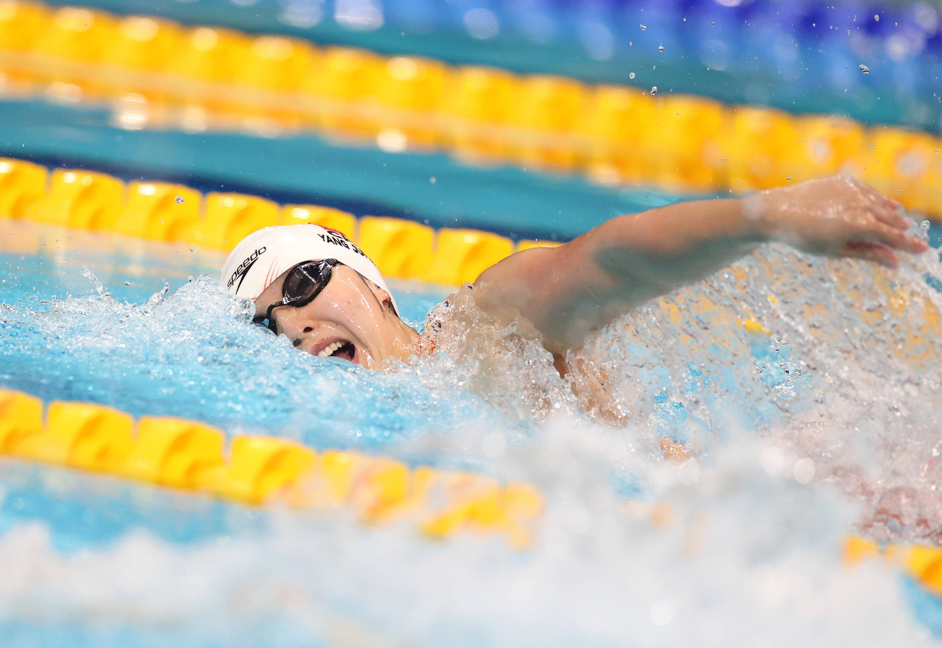 开云APP-游泳赛事精彩瞬间盘点，年度回顾震撼登场