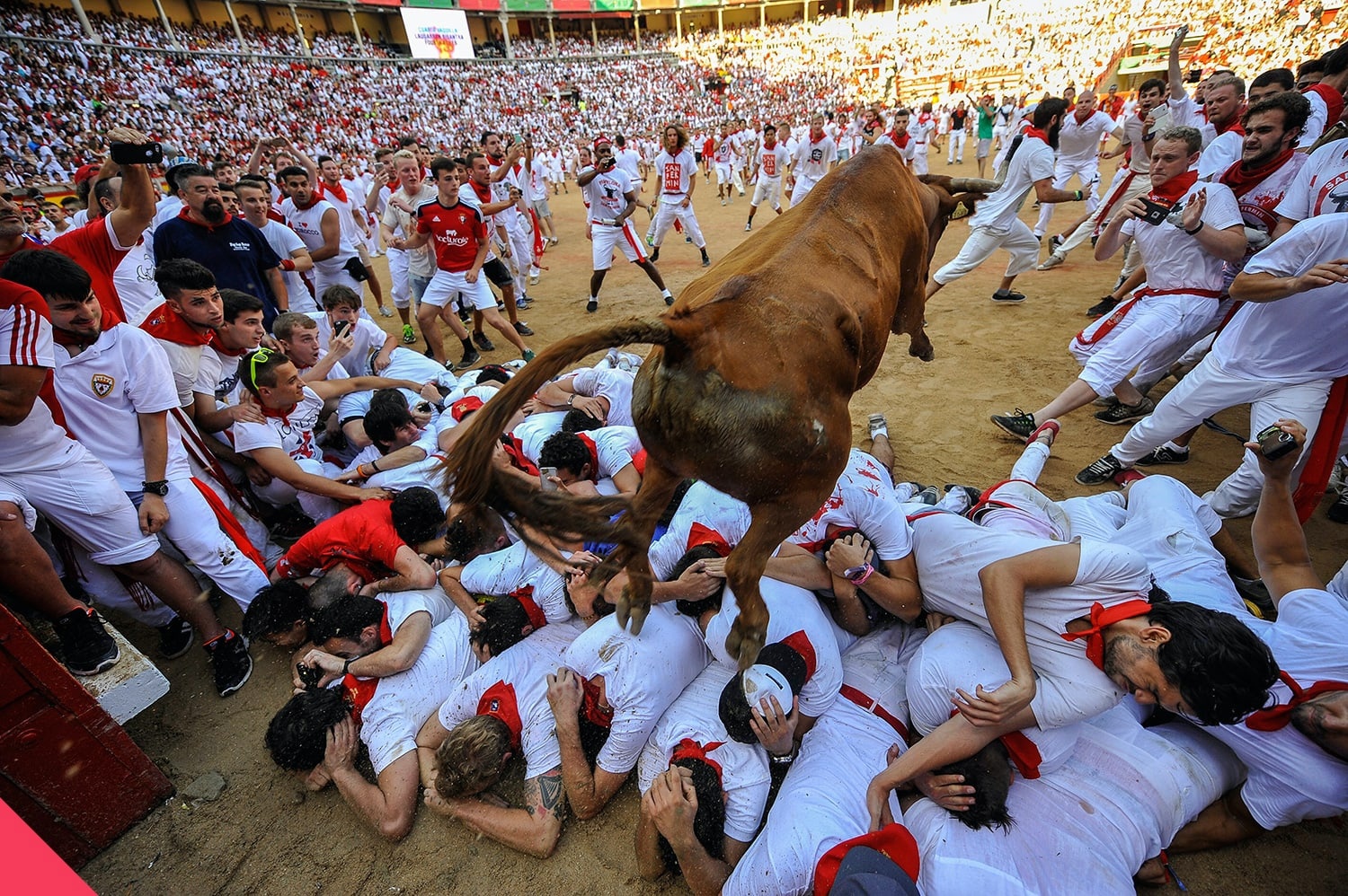 公牛碾压四川队，西亚卡姆扛起全队